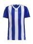 Progress Jersey Stripe JR Club Cobolt