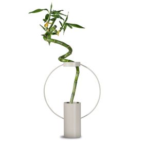 Moon vase large