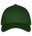 Classic Cap Bottle Green