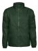 Winton Dk Green