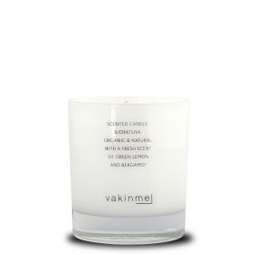Scented Candle Björktuva